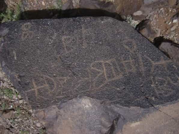 الشرعي ضركام12